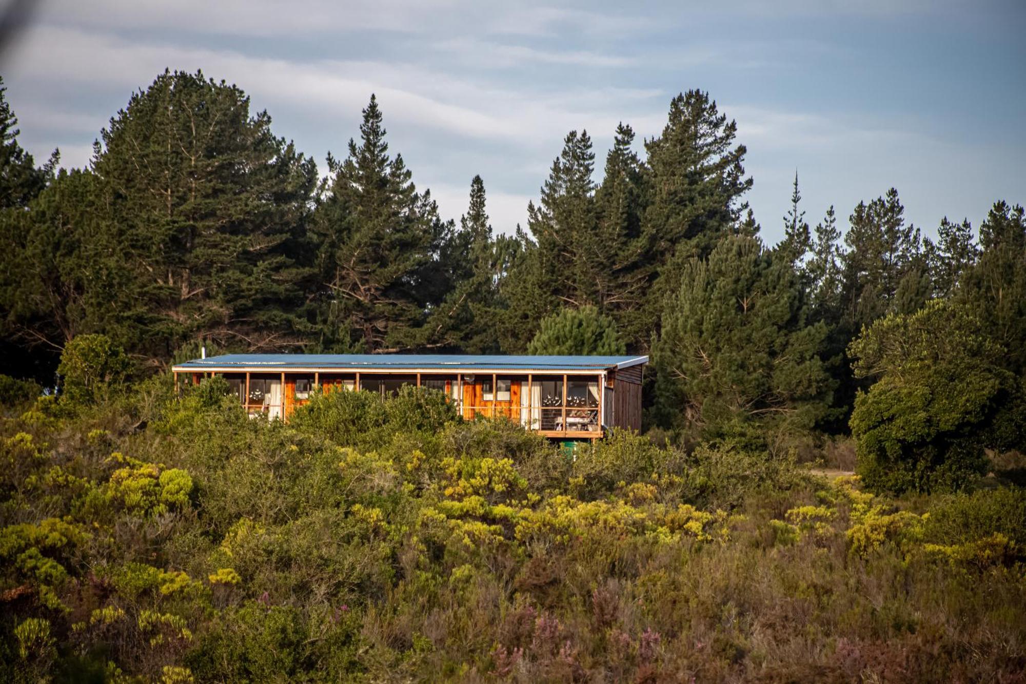 Equleni Guest Farm Hotell Sedgefield Eksteriør bilde